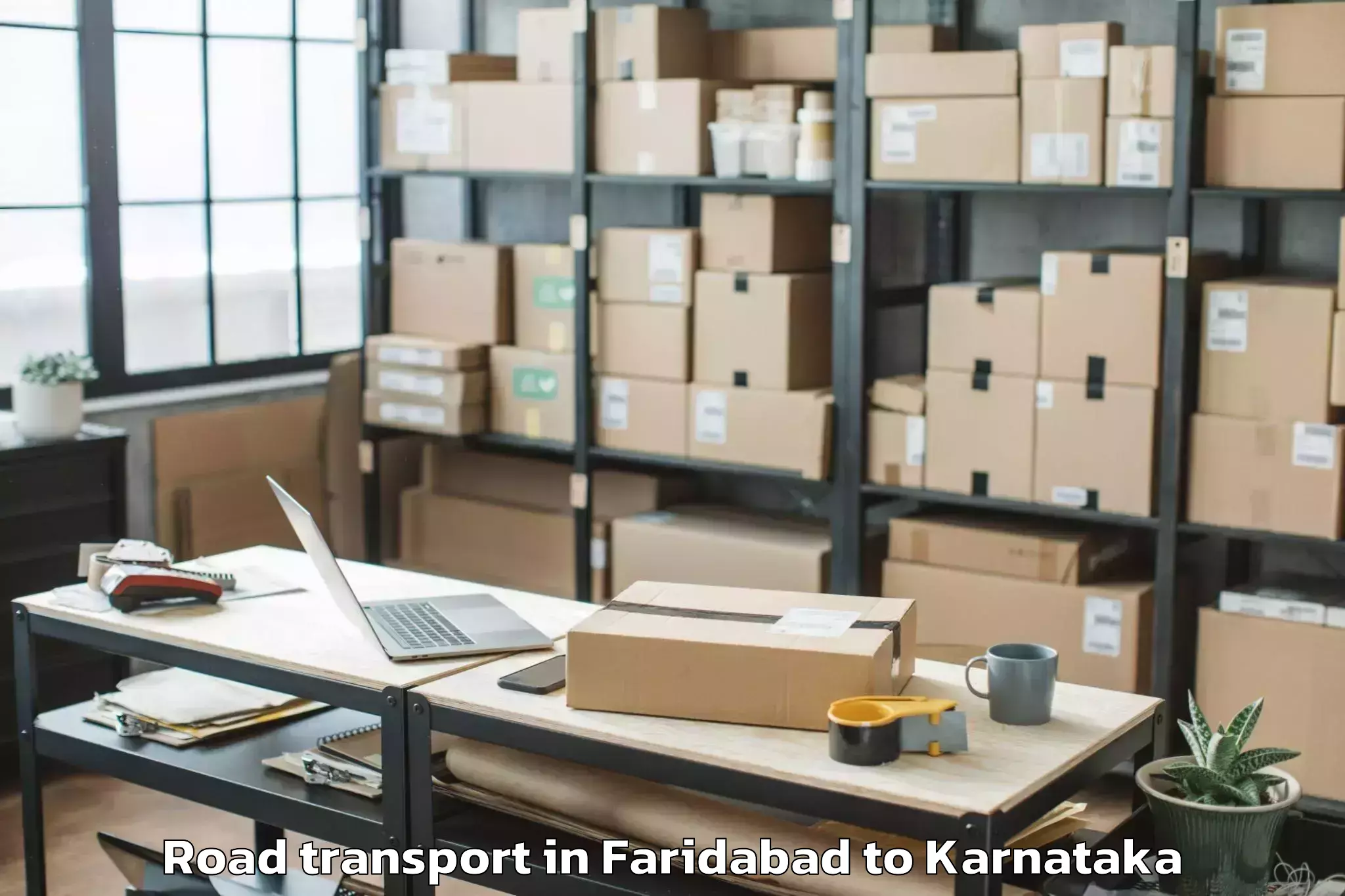 Professional Faridabad to Mudgere Road Transport